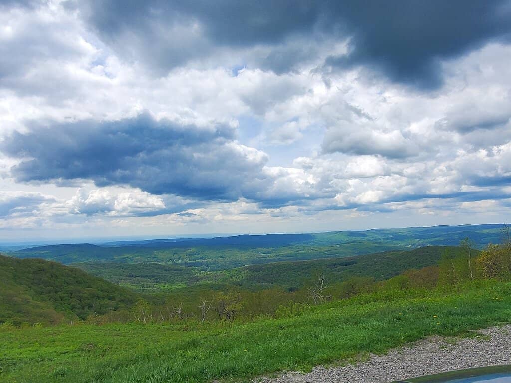 Panoramic Views