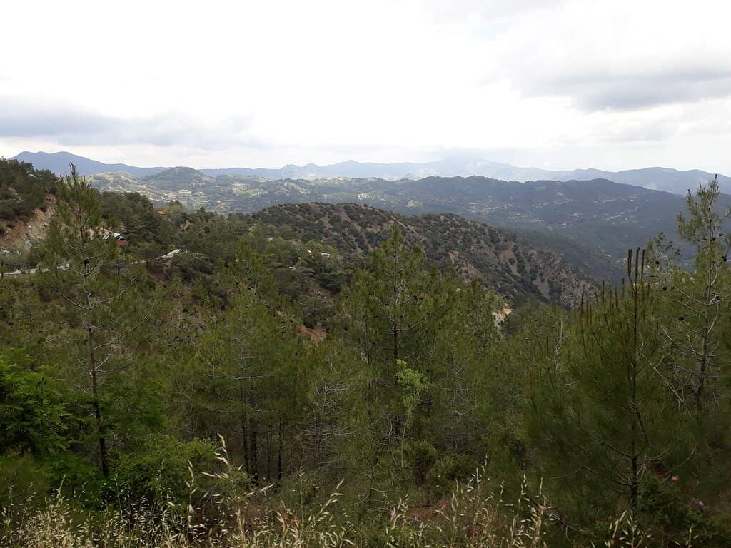 Ecological Education