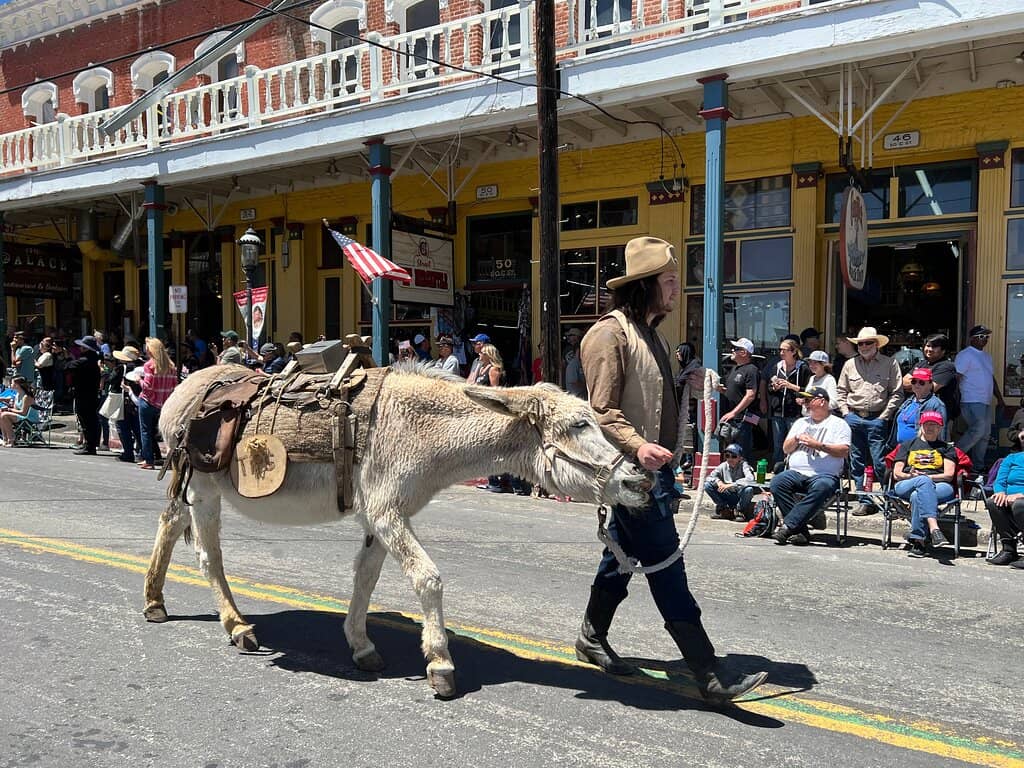 Graveyard Exploration