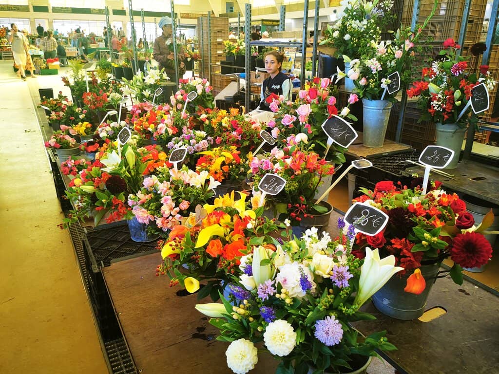 Saucisson & Charcuterie