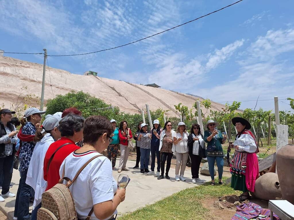 Wine and Pisco Tastings