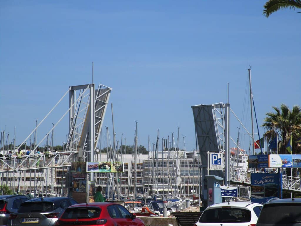 Vertical photo