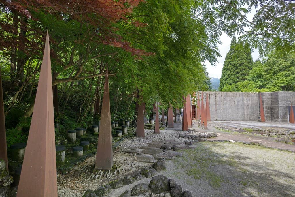 Chamois and Antelopes