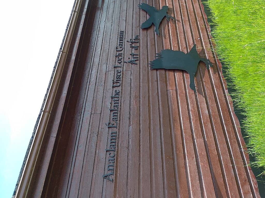 Coastal Birdlife