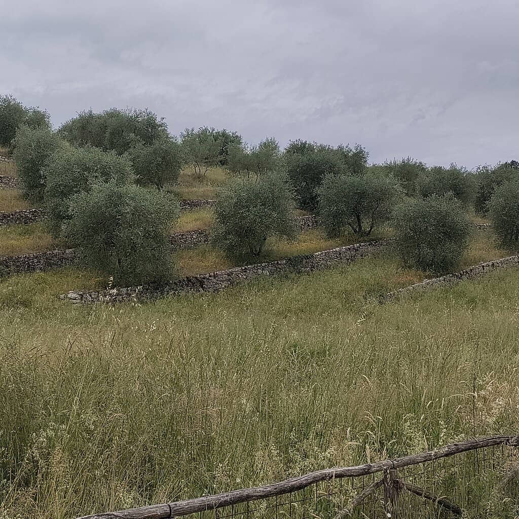 Authentic Tuscan Village
