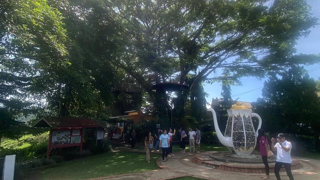 Local Flavors at the Cafe