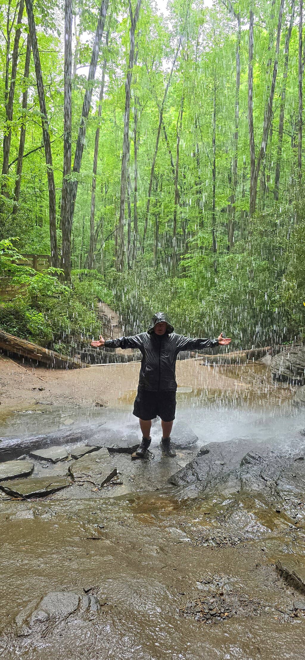 Gentle, Family-Friendly Hike