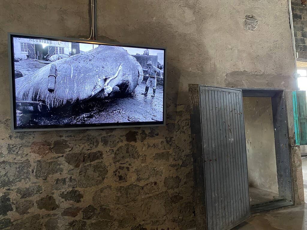 Historical Video