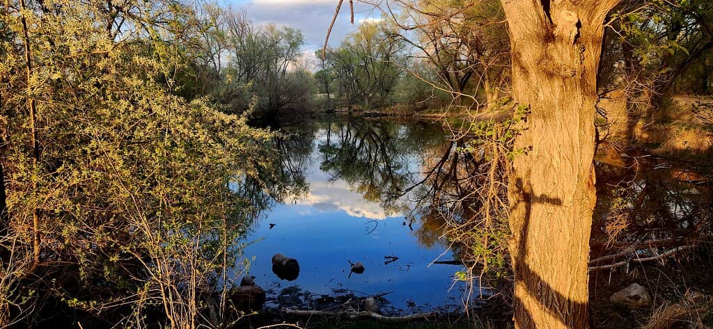 Vertical photo