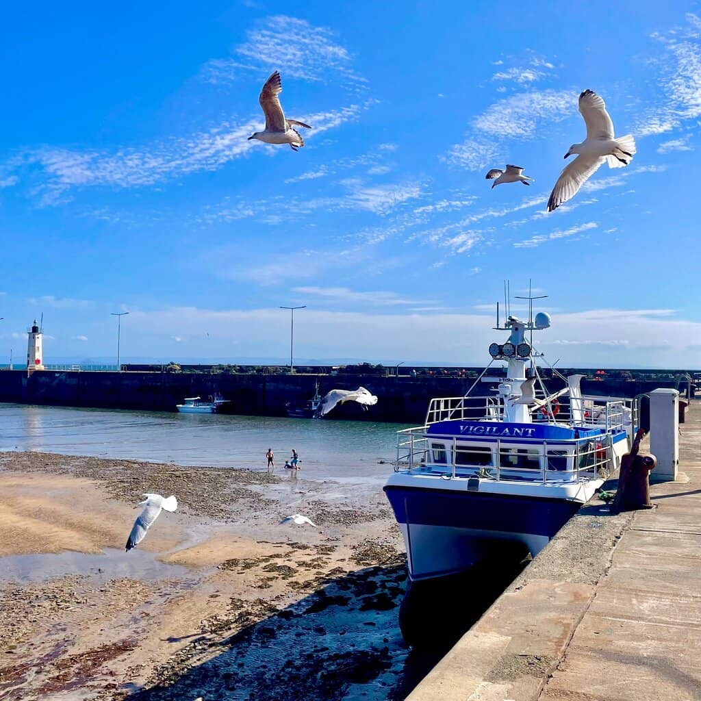 Picturesque Harbour Views