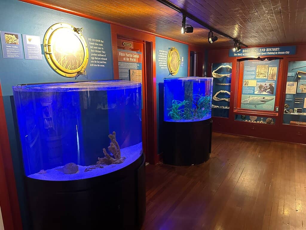 Aquarium Room