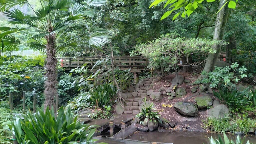 Tranquil Pond