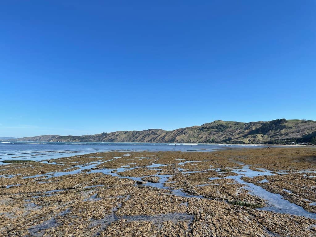 Expansive Low Tide Shores