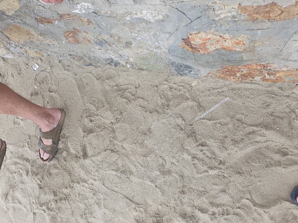 Golden Sandy Shores