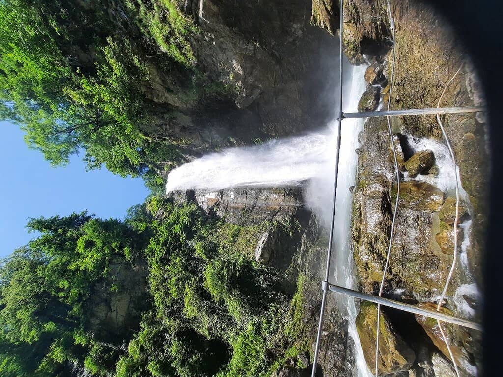 Vertical photo