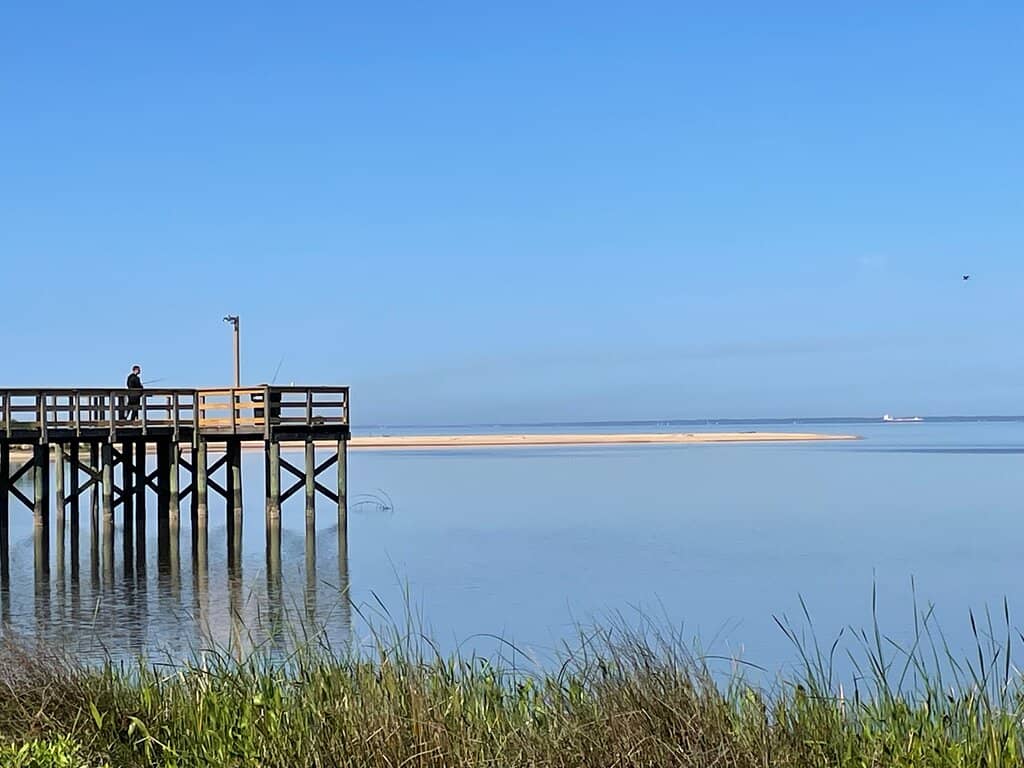 Natural Coastal Beauty
