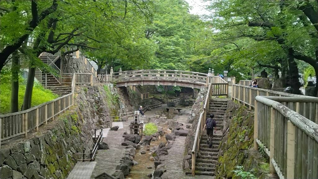 Cherry Blossom Spectacle