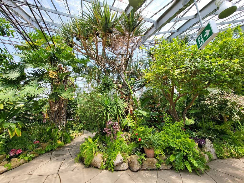 Tropical House