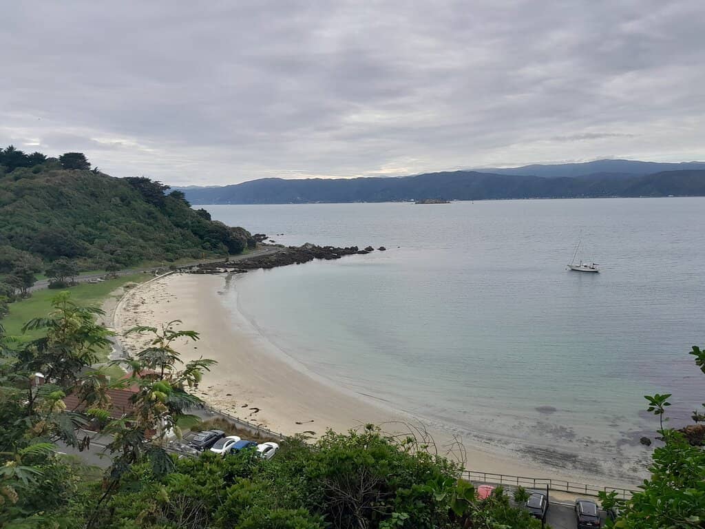 Convenient Amenities