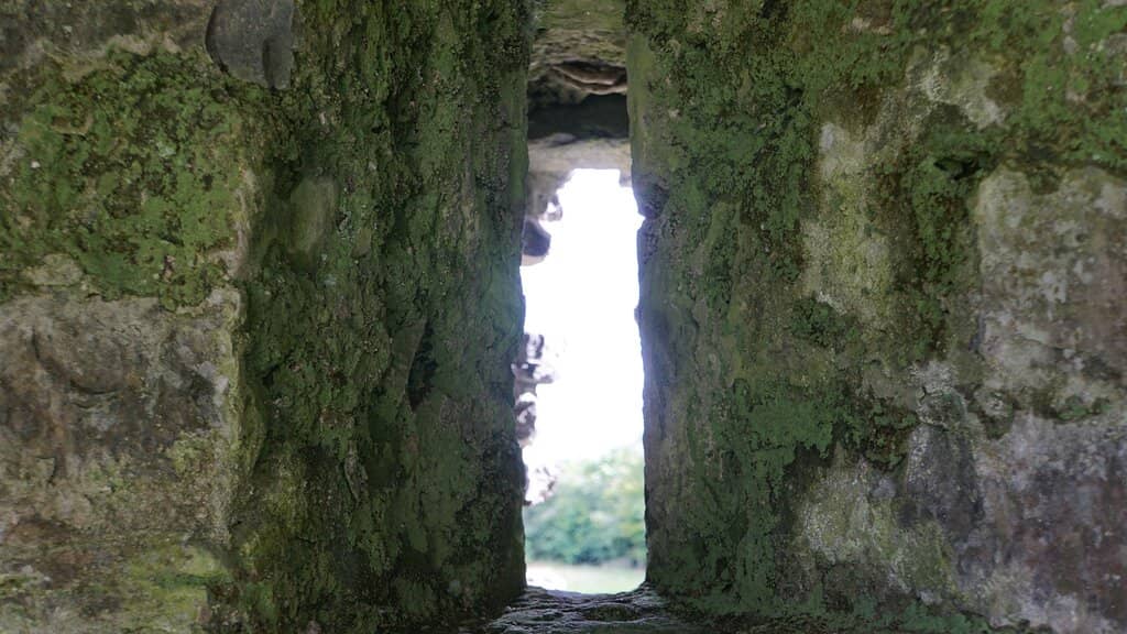 The Book of Ballymote