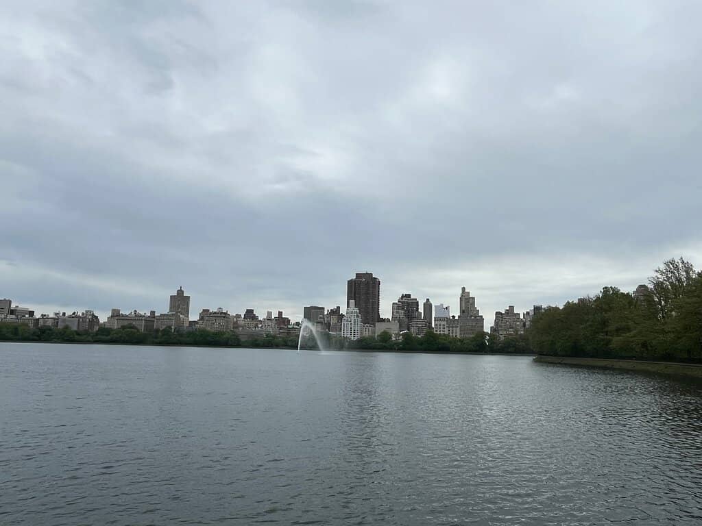Cherry Blossom Tunnel