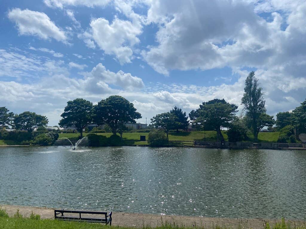 Wheelchair-Friendly Paths