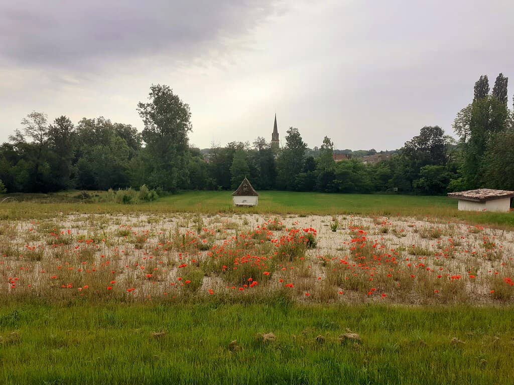 Timber-Framed Architecture