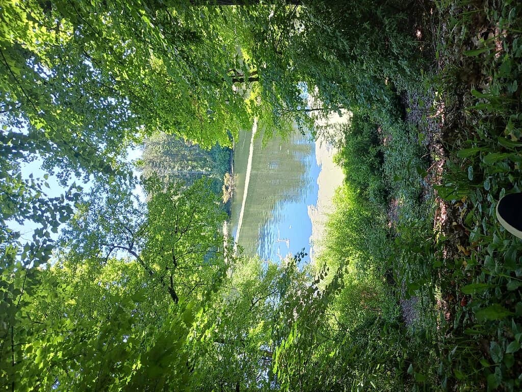 Arboretum & Trails