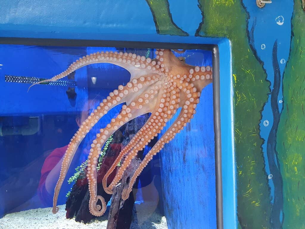 Marine Discovery & Interpretive Centre