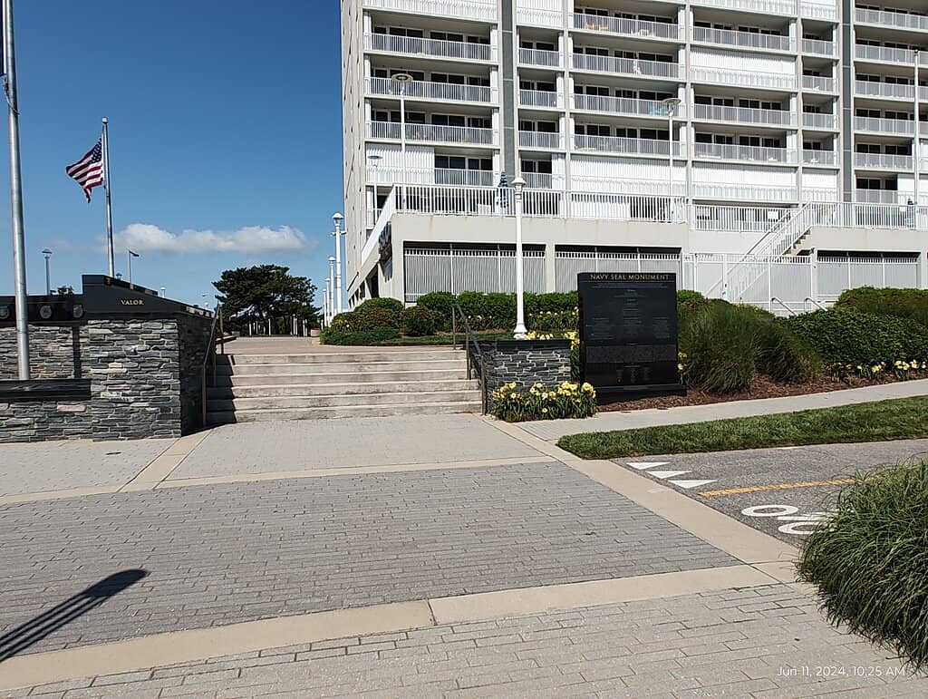 The Demolition-Team Swimmer