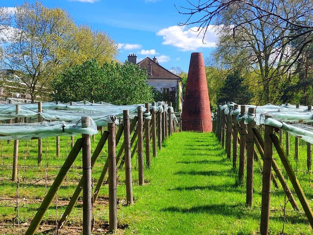 Edible Gardens