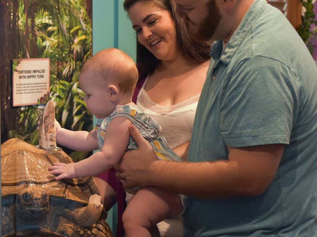 Mummified Mermaid