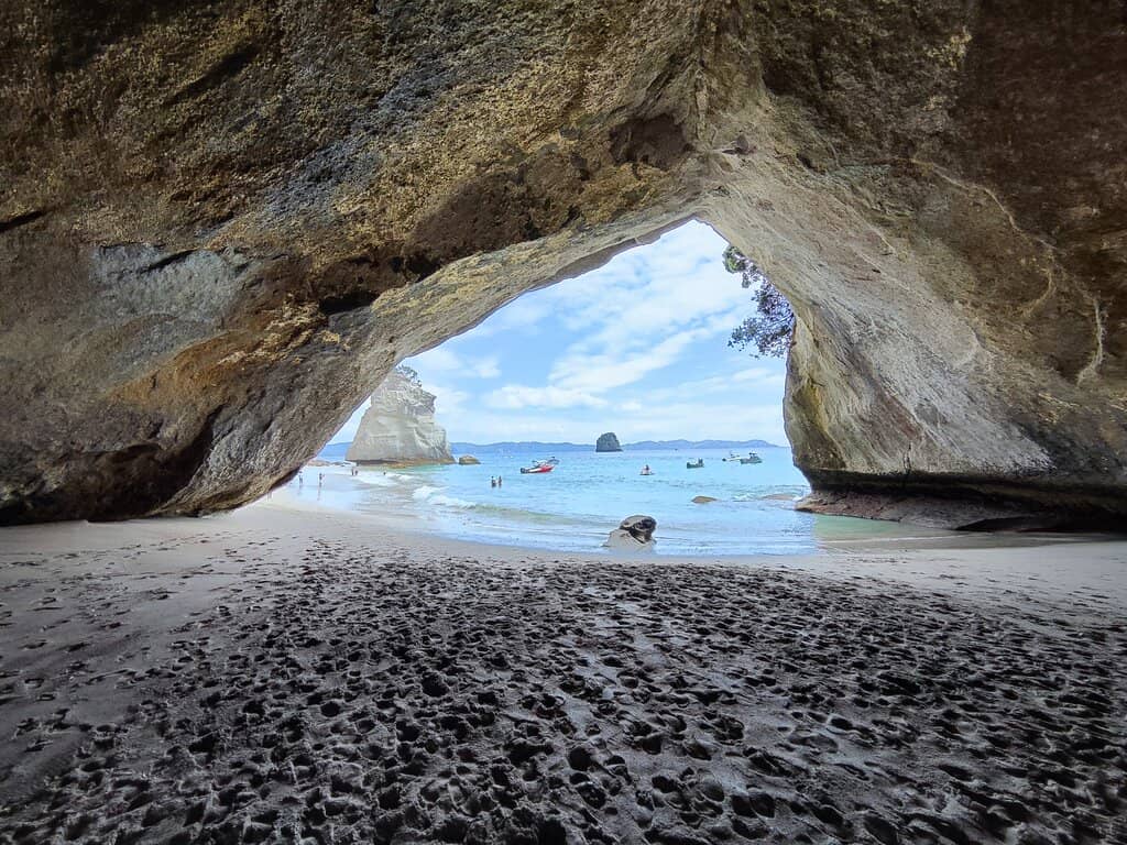 Scenic Coastal Walk