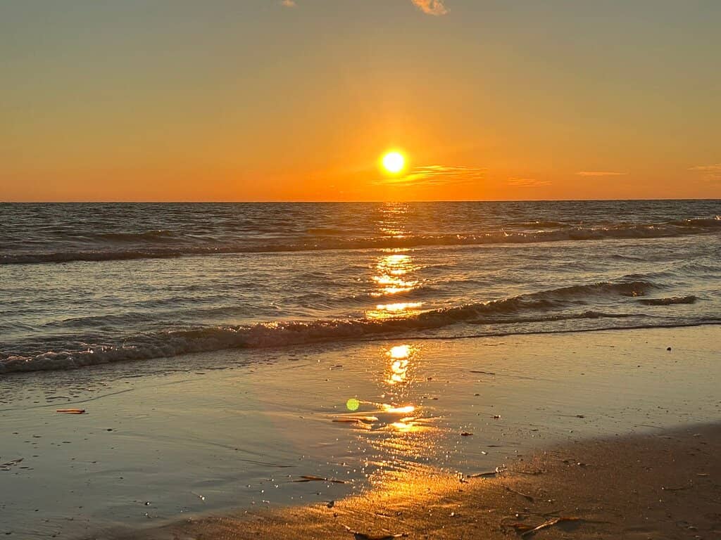 Beachcombing Paradise
