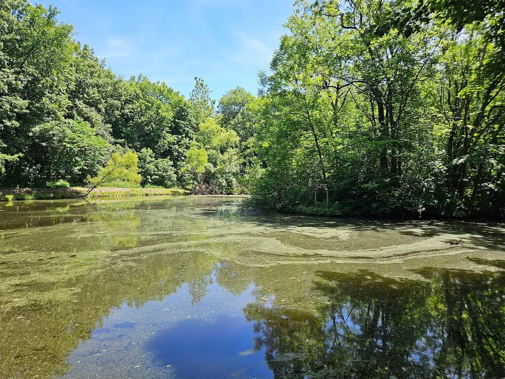 Kids' Fishing Pond