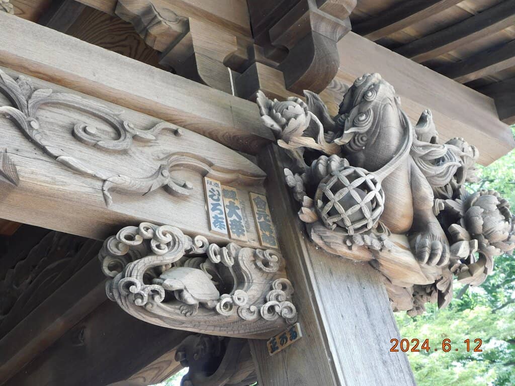 Cherry Blossom Spectacle