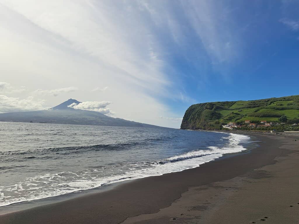 Magical Nighttime Swim