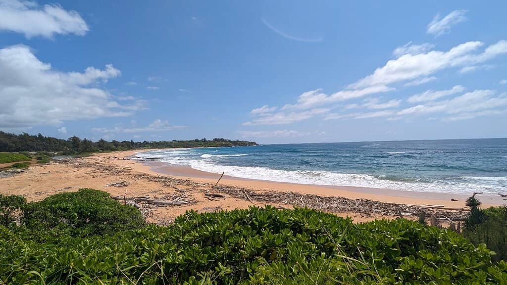 Scenic Coastal Walks
