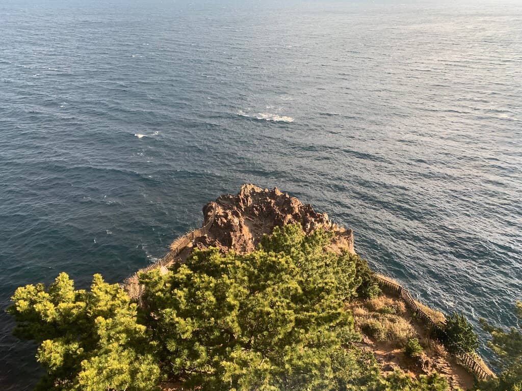 Vertical photo