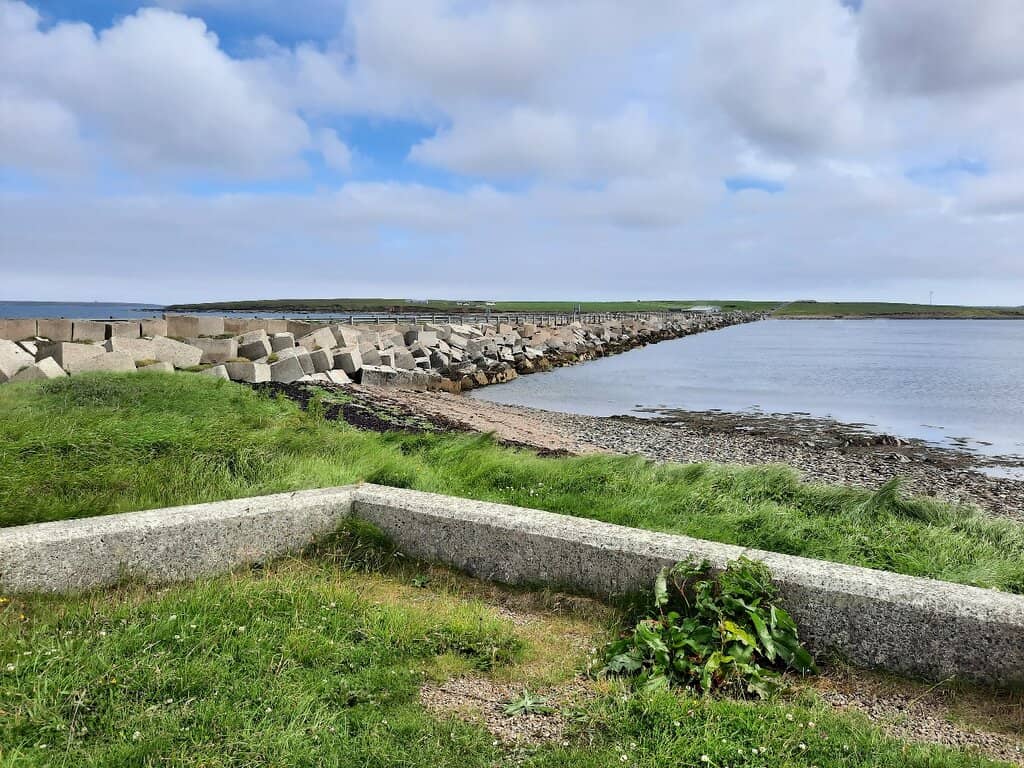 Scenic Drives & Views