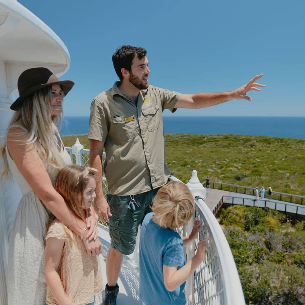 Cape to Cape Track Views