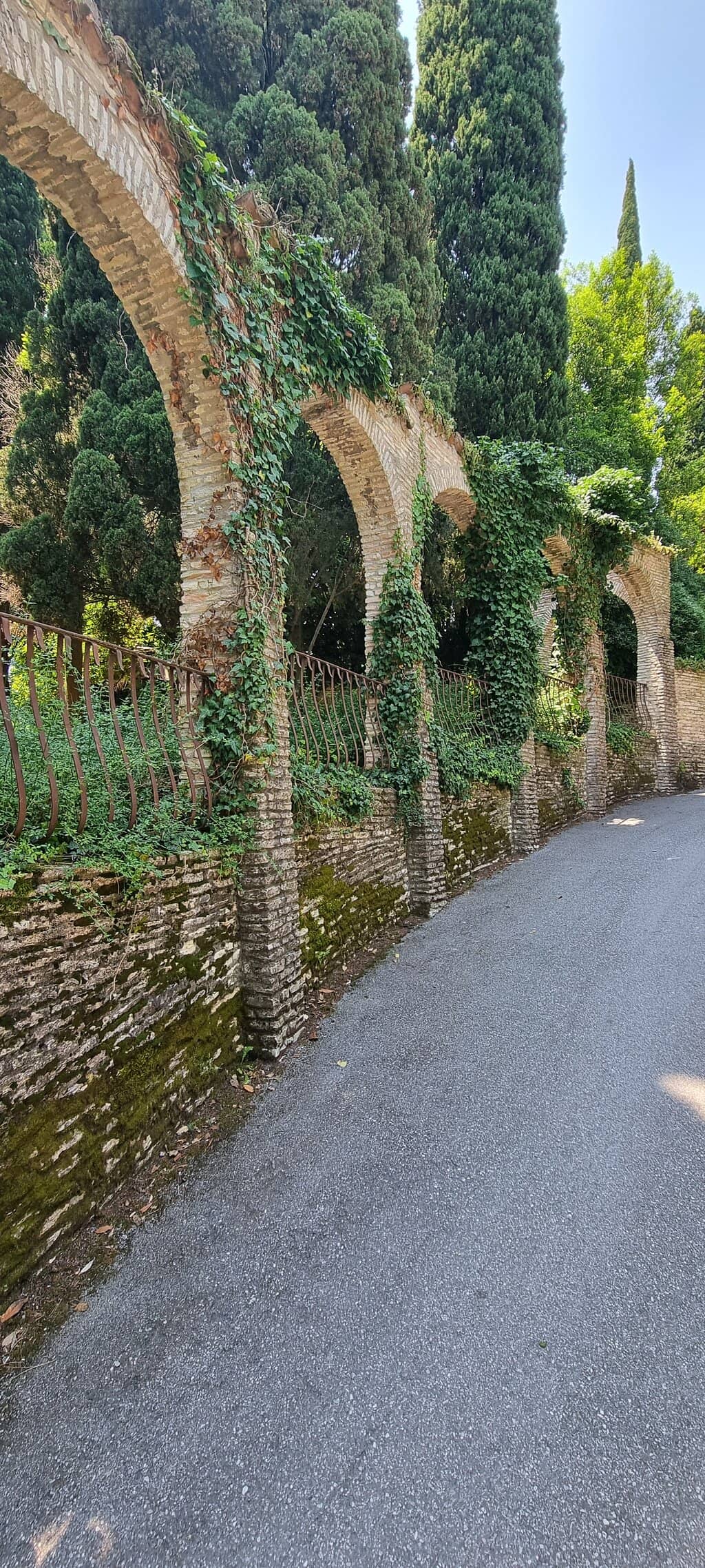 Local Artist Showcases