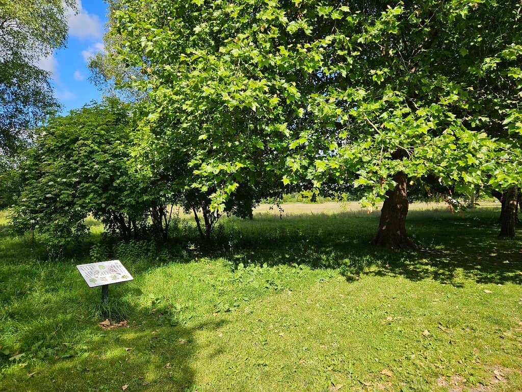 Iconic London Skyline Views
