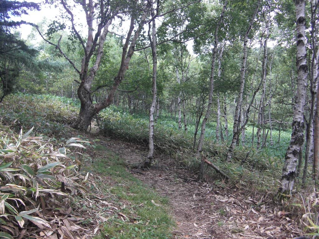 Vertical photo