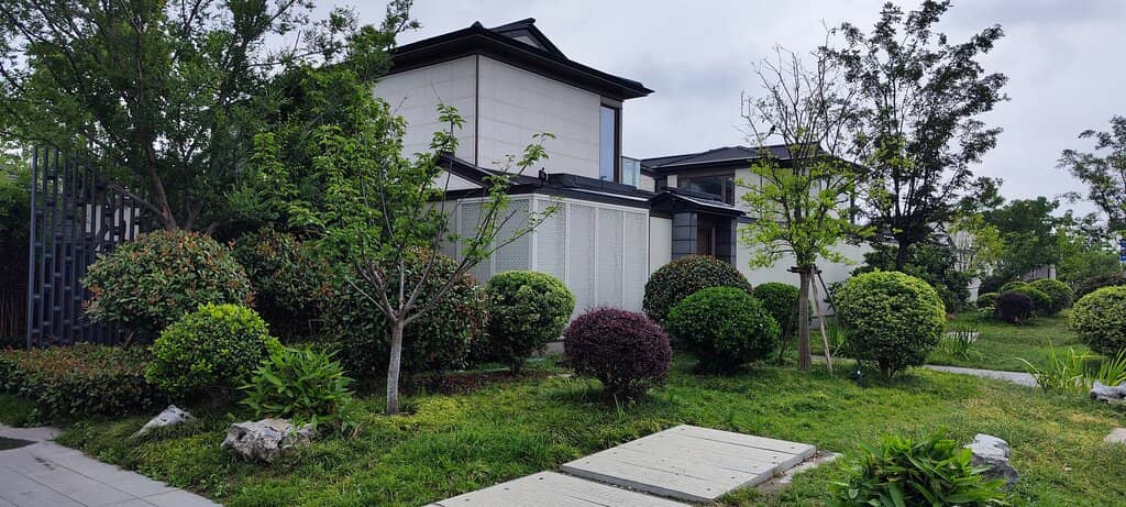 Splendid Wooden Sculptures