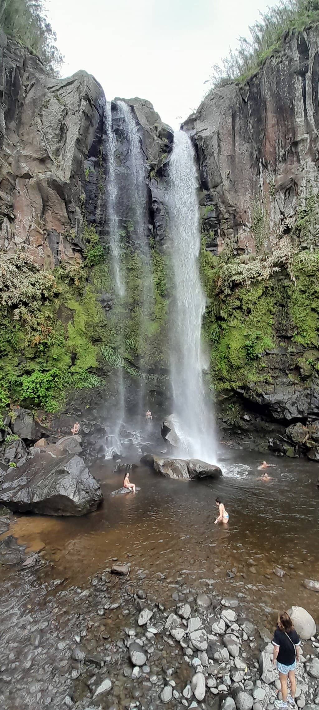 Natural Swimming Pools