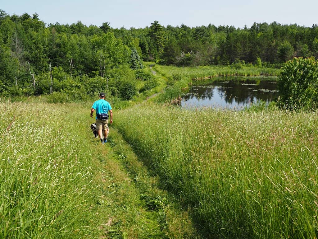 Cross-Country Ski Trails