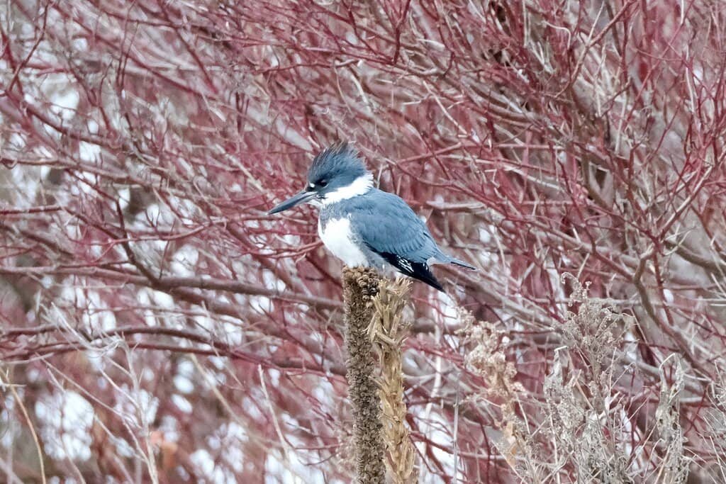 Spacious Open Design