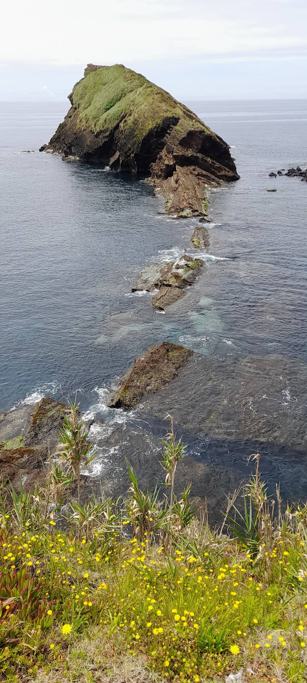 Vertical photo