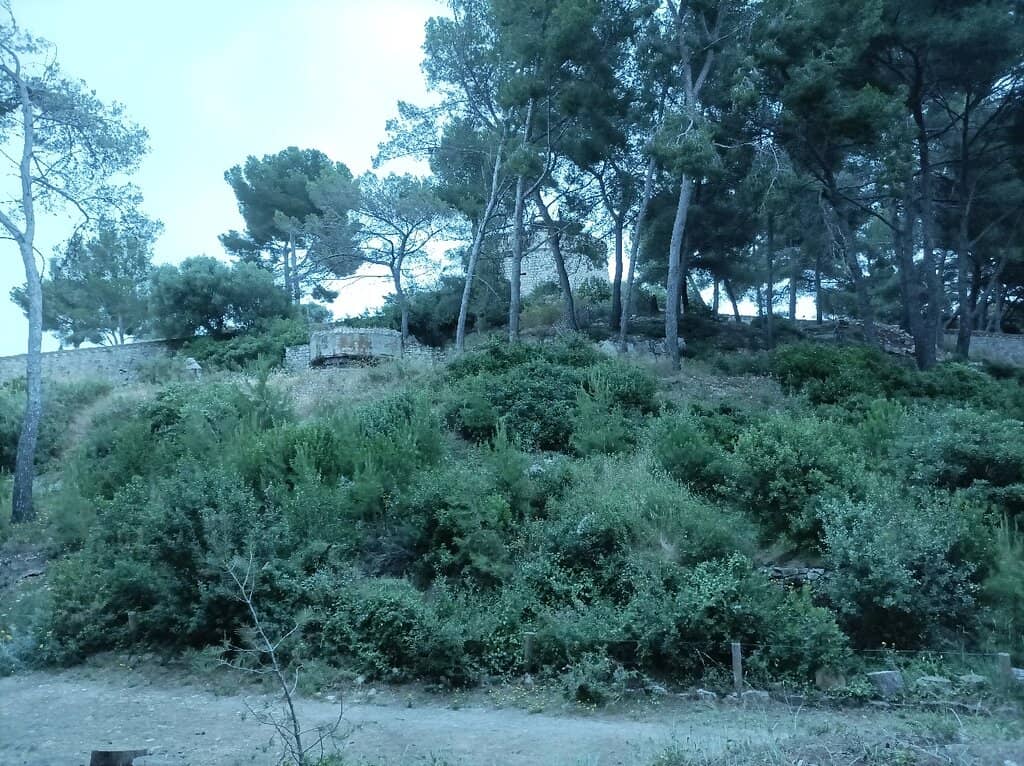 Panoramic Sea Views